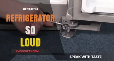 Why Is My LG Refrigerator So Loud? Troubleshooting Tips
