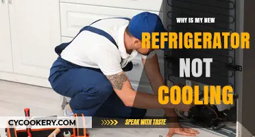 Why Your New Refrigerator Isn't Cooling: Troubleshooting Tips and Fixes