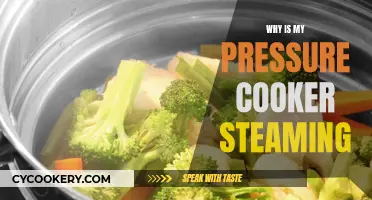 Steaming Pressure Cooker: What's the Reason?