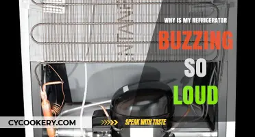 Why Is My Refrigerator Buzzing So Loud? Causes and Fixes
