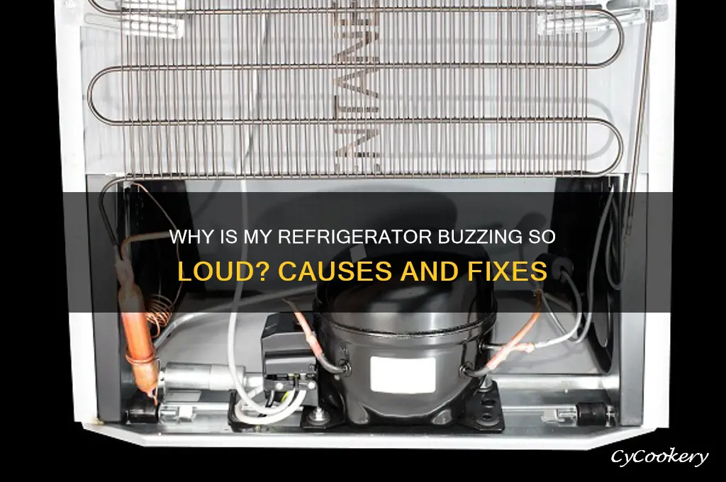 why is my refrigerator buzzing so loud