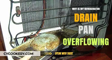 Refrigerator Drain Pan Overflowing? Causes and Quick Fixes Explained