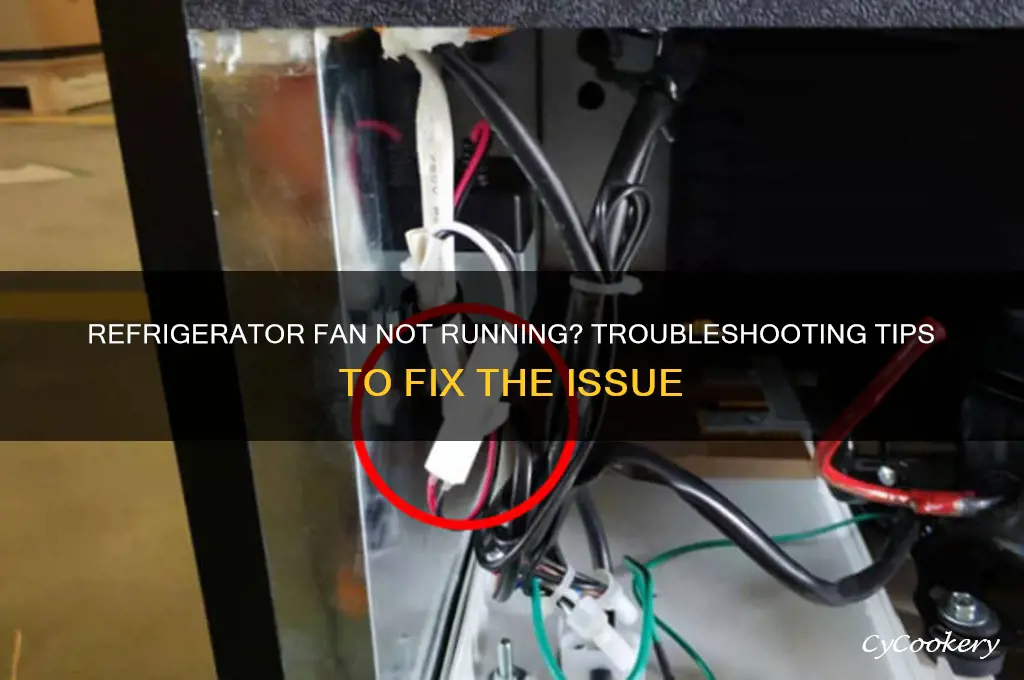 why is my refrigerator fan not running