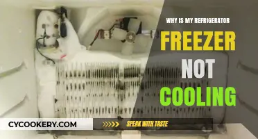 Why Your Refrigerator Freezer Isn't Cooling: Common Causes & Fixes