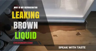 Why Is My Refrigerator Leaking Brown Liquid? Causes & Fixes