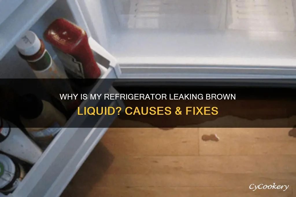 why is my refrigerator leaking brown liquid