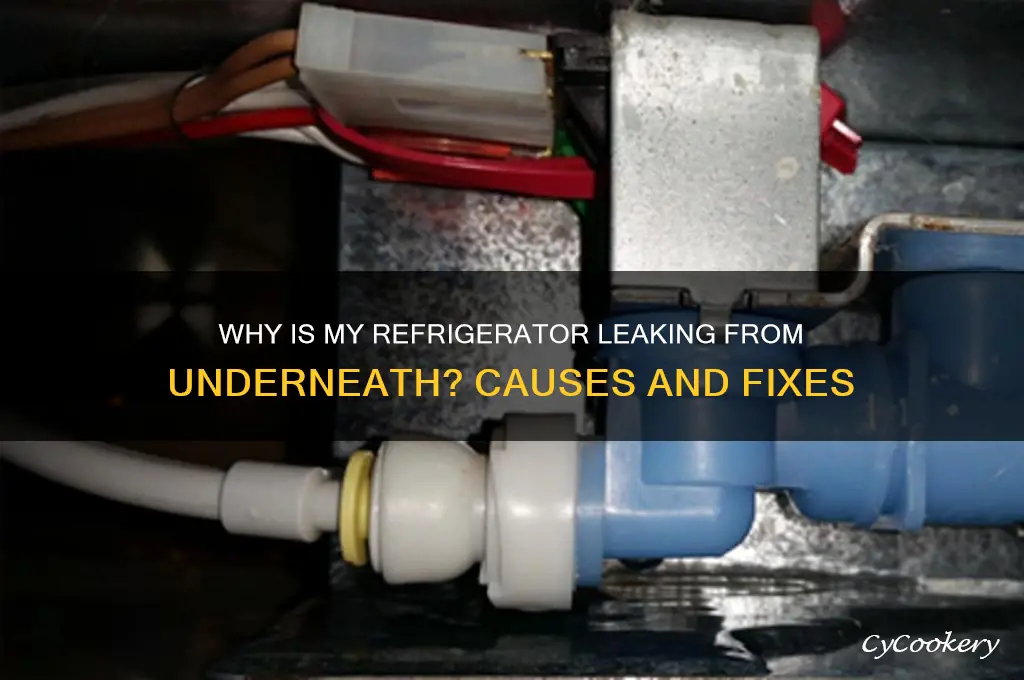 why is my refrigerator leaking from underneath