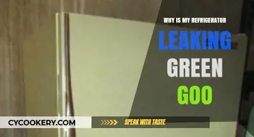 Green Goo Leak: Causes and Fixes for Your Refrigerator