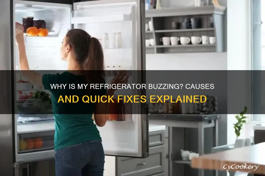 why is my refrigerator making a buzzing noise
