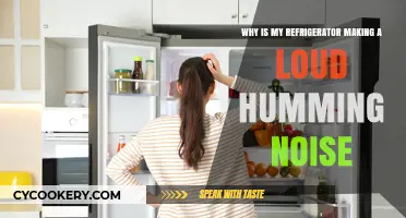 Why Is My Refrigerator Humming So Loudly? Troubleshooting Tips