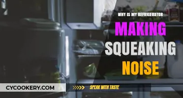 Why Is My Refrigerator Squeaking? Causes and Quick Fixes
