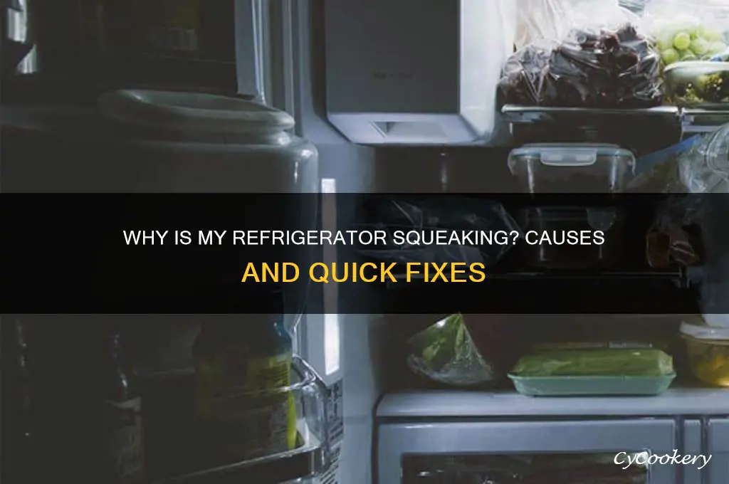 why is my refrigerator making squeaking noise