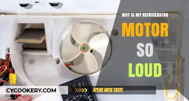Why Is My Refrigerator Motor So Loud? Troubleshooting Tips