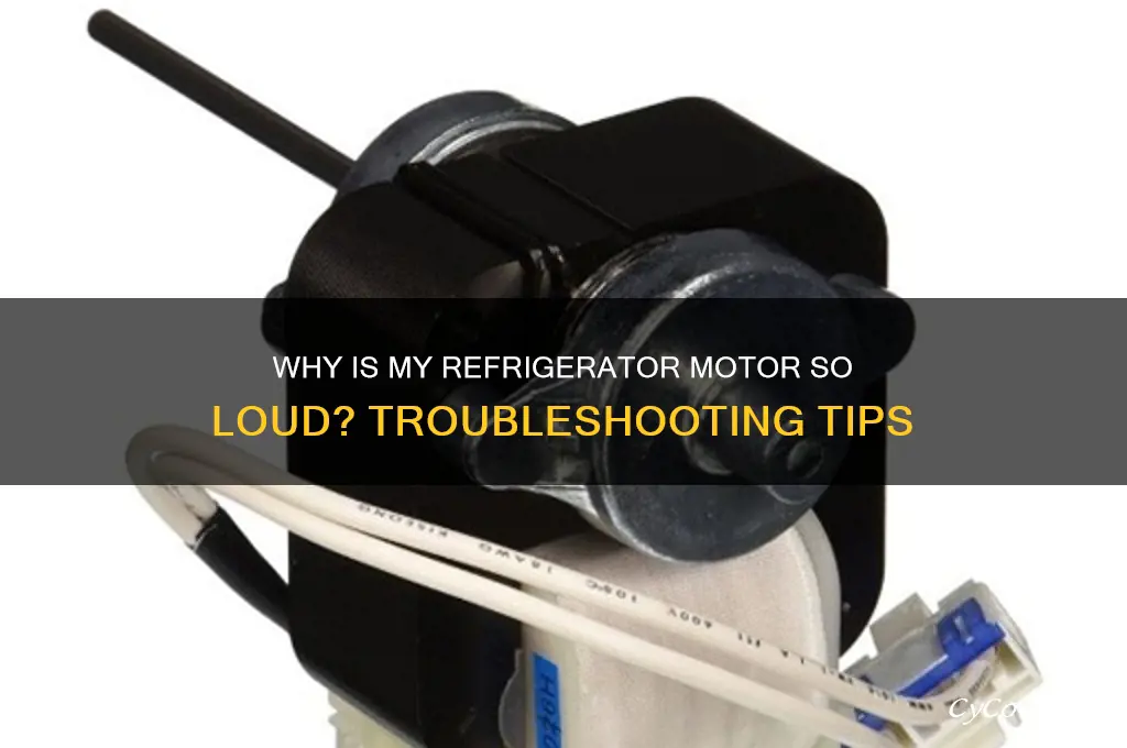 why is my refrigerator motor so loud