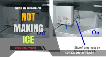 Why Your Refrigerator Isn't Making Ice: Troubleshooting Tips and Fixes