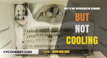 Refrigerator Running but Not Cooling? Troubleshooting Tips and Fixes