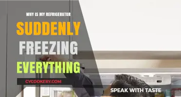 Refrigerator Freezing Food? Troubleshooting Sudden Frosty Fridge Issues