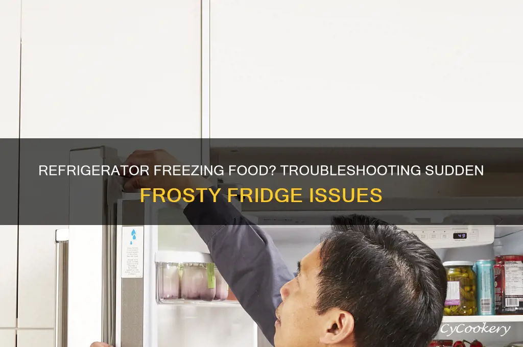 why is my refrigerator suddenly freezing everything