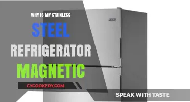 Why Stainless Steel Fridges Attract Magnets: Unveiling the Magnetic Mystery