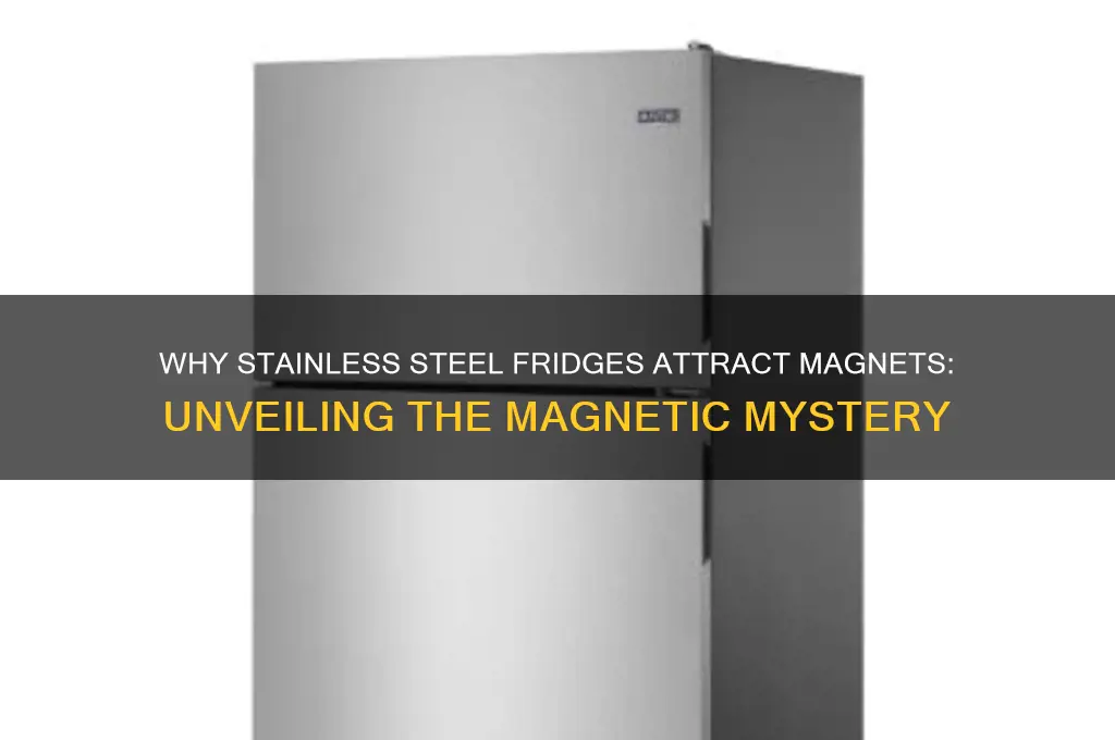why is my stainless steel refrigerator magnetic