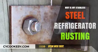 Why Stainless Steel Fridges Rust: Causes and Prevention Tips