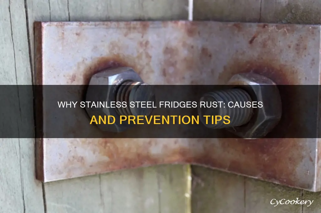 why is my stainless steel refrigerator rusting
