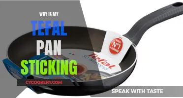 Tefal Pan Sticking: How to Fix It?