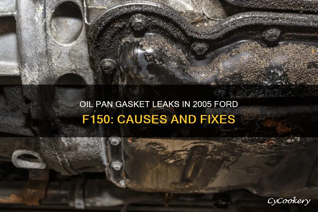 why is oil pan gasket leaking in 2005 ford f150