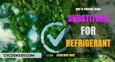 Propane's Rise: Eco-Friendly Alternative to Traditional Refrigerants Explained