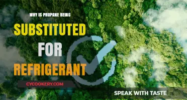 Propane's Rise: Eco-Friendly Alternative to Traditional Refrigerants Explained