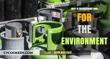 Refrigerant's Environmental Impact: Harmful Effects and Sustainable Alternatives