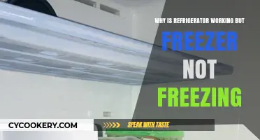 Refrigerator Works, Freezer Fails: Troubleshooting Common Cooling Issues
