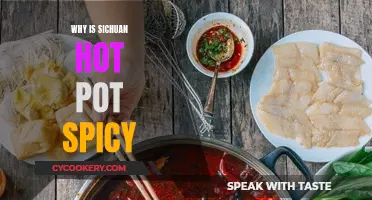 The Scorch of Sichuan: Unraveling the Secrets of Sichuan Hot Pot's Spice