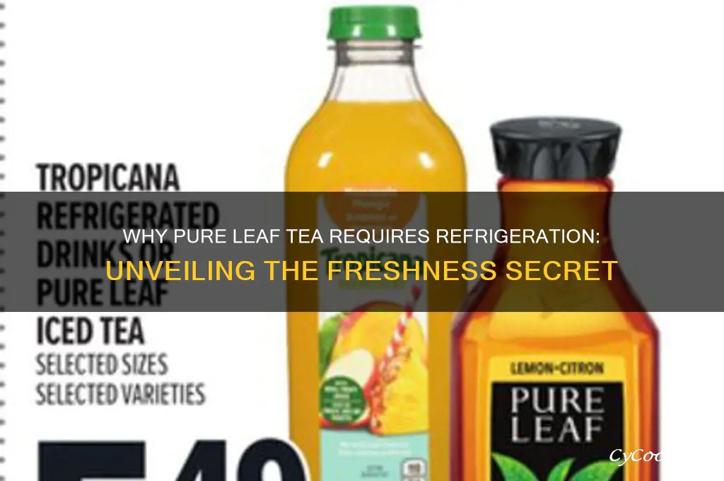 why is some pure leaf tea refrigerated