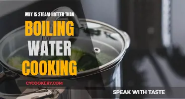 Steam vs Boiling Water: Why Steam Cooks Better