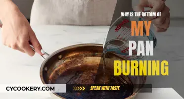 Preventing Burning: Tips for Perfect Pan Cooking