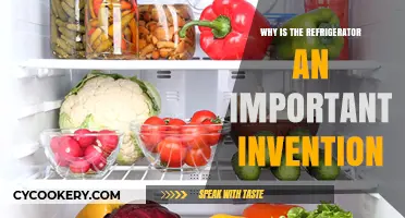 The Refrigerator: A Game-Changing Invention for Food Preservation and Health