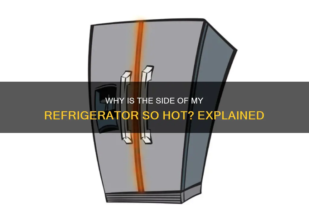 why is the side of my refrigerator