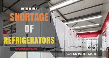 Refrigerator Shortage Crisis: Causes and Impact on Consumers and Markets