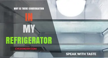 Understanding Condensation in Your Fridge: Causes and Quick Fixes