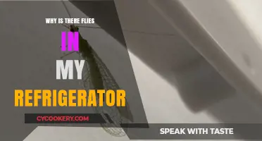 Why Are Flies Invading My Refrigerator? Causes and Solutions