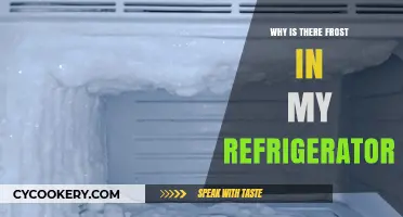 Why Frost Builds Up in Your Refrigerator: Causes and Fixes