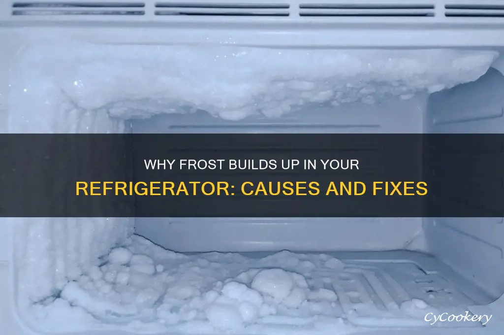 why is there frost in my refrigerator
