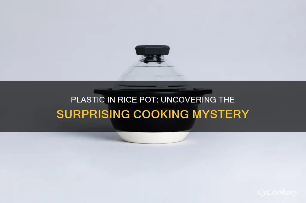 why is there plastic in my pot after cooking rice