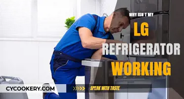 Troubleshooting Tips: Why Your LG Refrigerator Isn't Working Properly