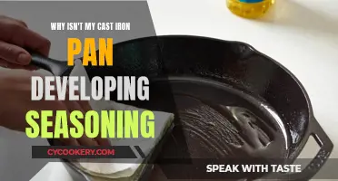 The Mystery of the Missing Seasoning: Why Your Cast Iron Pan Remains Bare