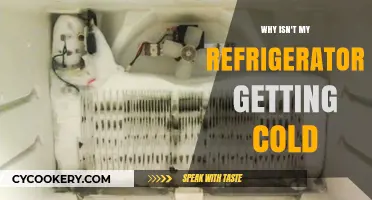Why Isn't My Refrigerator Getting Cold? Troubleshooting Tips and Fixes