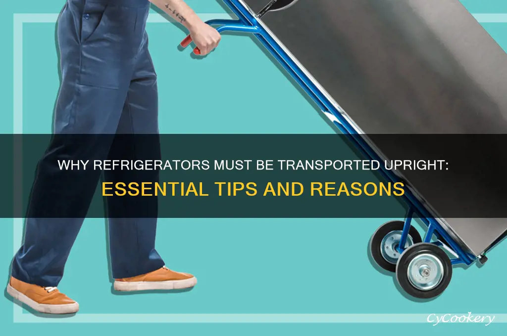 why must a refrigerator be transported upright