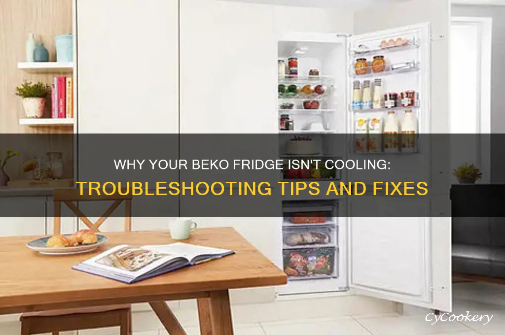 why my beko refrigerator is not cooling