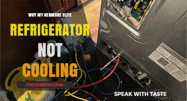 Kenmore Elite Fridge Not Cooling? Troubleshooting Tips and Fixes
